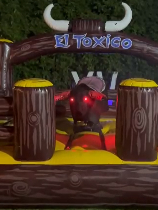 FABRICANTE DE TOROS MECÁNICOS