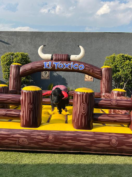 FABRICANTE DE TOROS MECÁNICOS
