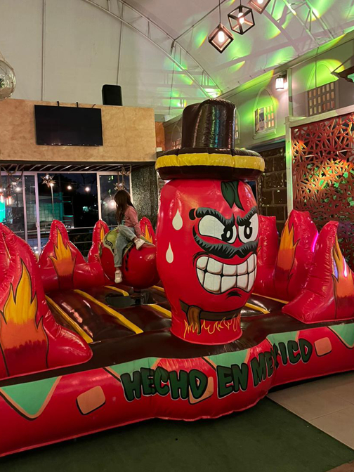 FABRICANTE DE TOROS MECÁNICOS