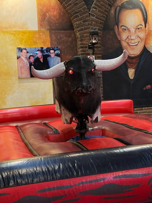 FABRICANTE DE TOROS MECÁNICOS