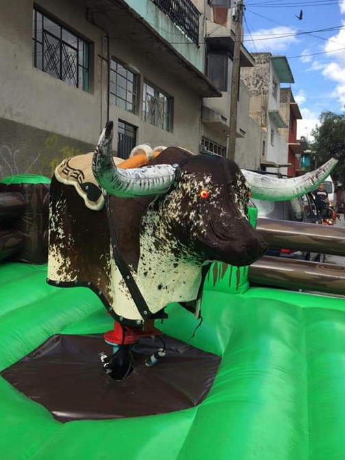 FABRICANTE DE TOROS MECÁNICOS