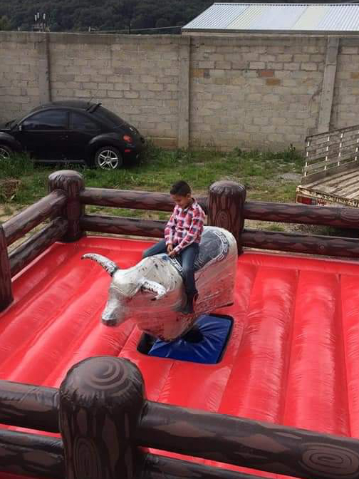 FABRICANTE DE TOROS MECÁNICOS