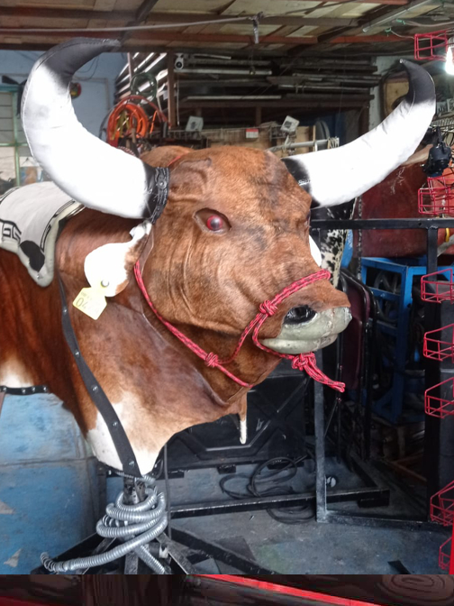 FABRICANTE DE TOROS MECÁNICOS