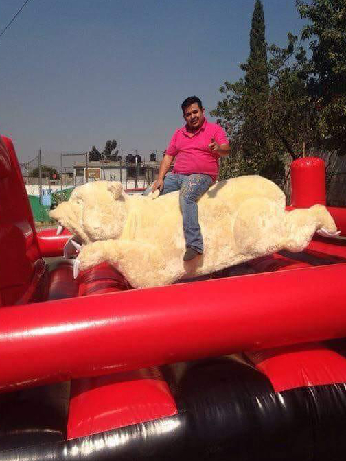 FABRICANTE DE TOROS MECÁNICOS