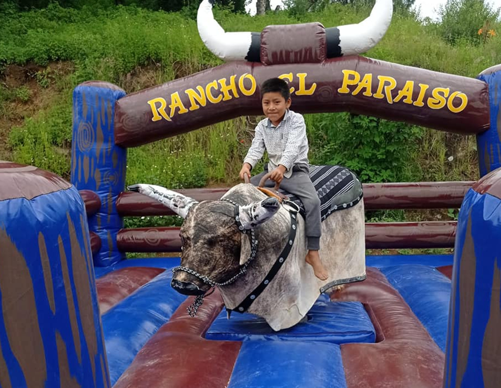 FABRICANTE DE TOROS MECÁNICOS